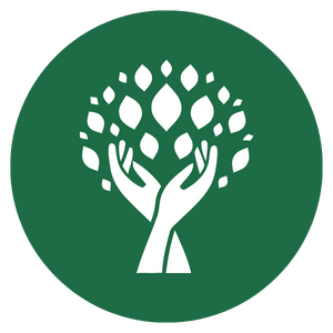 Logo & Brand Identity Design