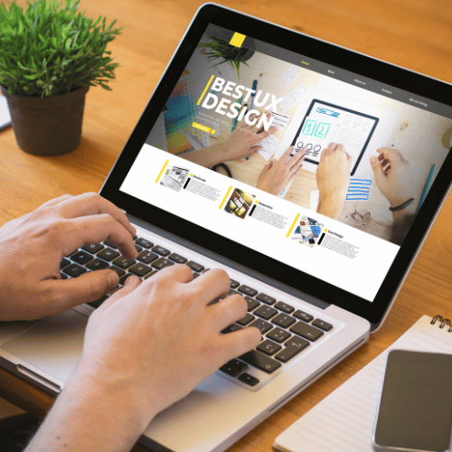 Professional Website Designing & Development