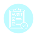 CRO Audit Service